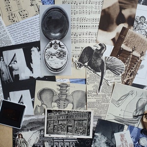 May include: A collage of vintage paper ephemera, including a pocket watch, a black and white photograph of a woman, a skeletal diagram, a bird illustration, and a piece of sheet music. The collage is on a brown surface.