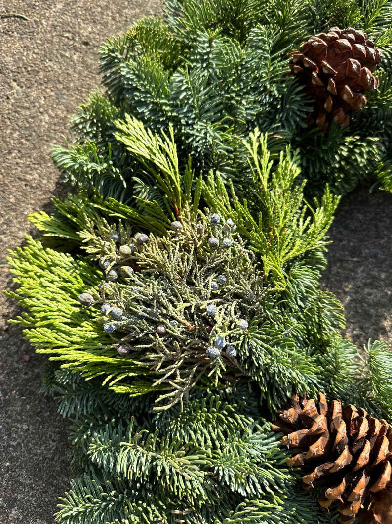 Traditional Fresh Christmas Wreaths From Oregon Real Etsy