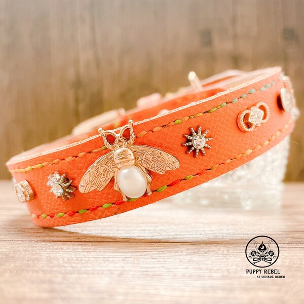 Orange Dog Collar Etsy