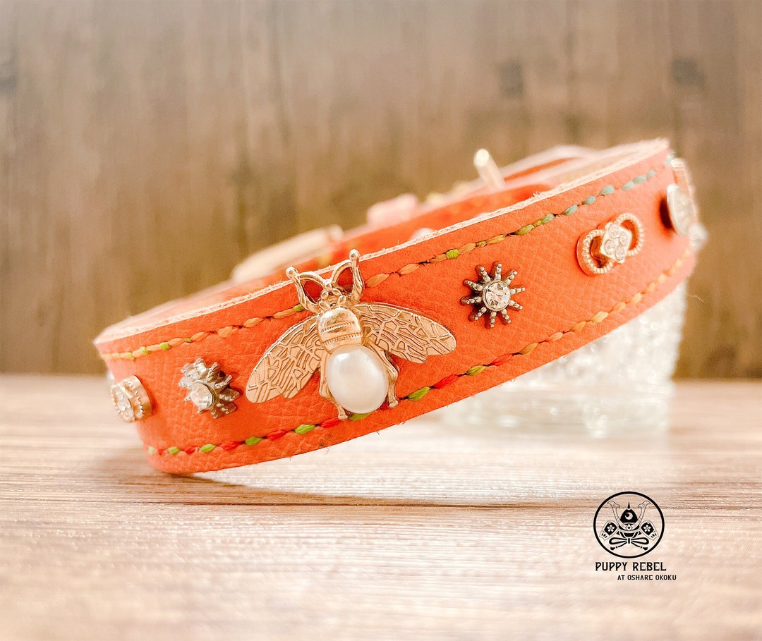 Personalized Luxury Leather Dog Collar Orange Dog Collar Etsy