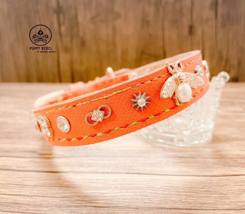 Personalized Luxury Leather Dog Collar Orange Dog Collar Etsy