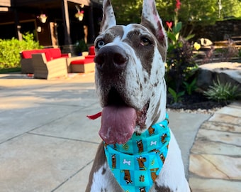 CUSTOM  -  Great Dane - pet DOG / Cat -   Snap on BANDANA,  Embroidery available