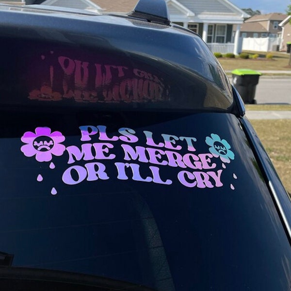 Car Vinyl Window Funny Etsy