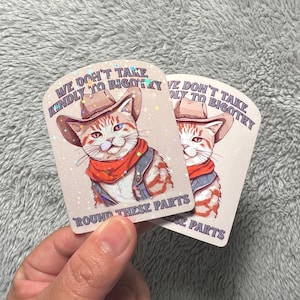 Funny Cat Sticker - Bigotry Cowboy Cat Holographic Sparkle Liberal Leftist Feminist Funny Kidcore Stickers