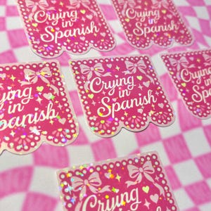 Funny Latina aesthetic vinyl stickers reading Crying in Spanish on pink papel picado background.