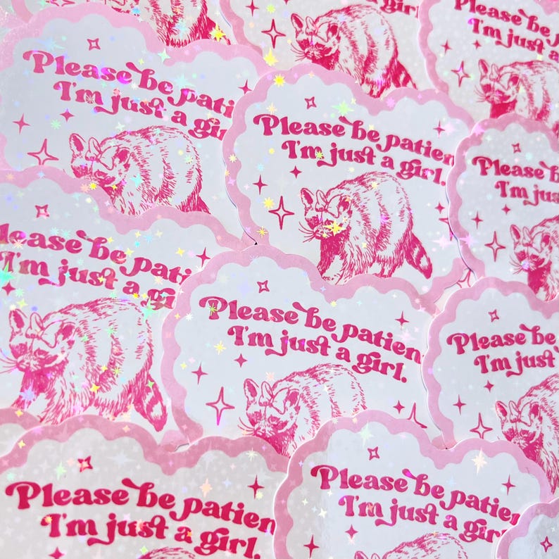 Peut inclure: Une collection d'autocollants roses et blancs avec une illustration de raton laveur et le texte "Veuillez &ecirc;tre patient, je suis juste une fille."