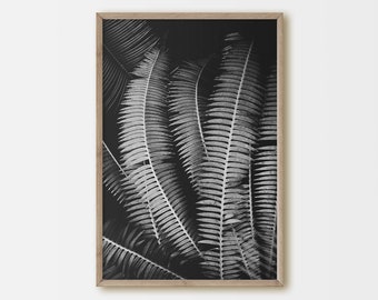 Botanical Print, Palm Tree Wall Art, Black and White, Home Decor, Printable, Instant Download, Palm Tree Leaves