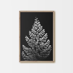 Botanical Print, Fern Wall Art, Black and White, Home Decor, Printable, Instant Download,  Dark Grey Fern