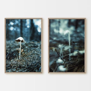 Printable, Set of 2 Prints, Forest Scene, Nature Photography, Home Decor, Mushroom Wall Art, Botanical, Ghost Pipe