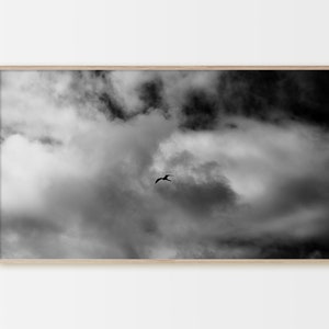 Samsung Frame TV Art, Instant Download, Black and White, Coastal Decor, Cloud Photography, Black Bird in the Sky