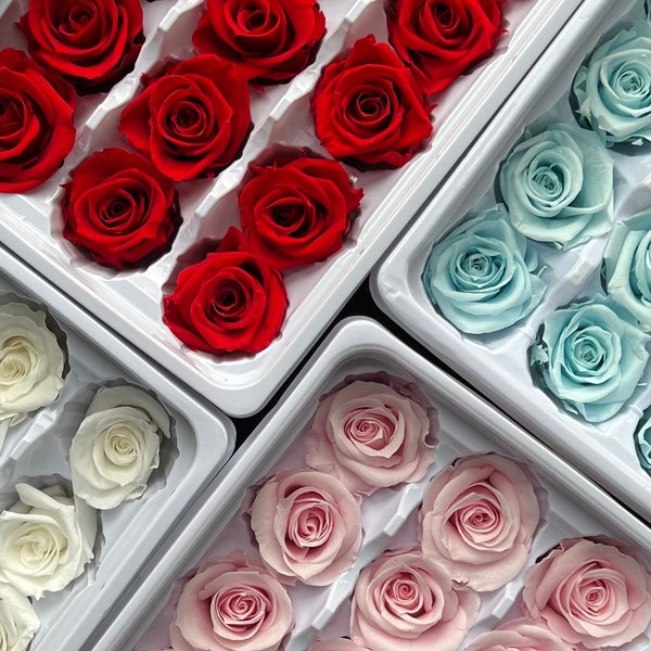 SINGLE PIECE | 4 Colours Preserved Small Rose | 2-3cm | Dried & Everlasting flower | Bouquet | Wedding | Cake toppings | Flower Decor