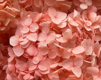 Preserved Hydrangea | Dried & Everlasting | flower arrangement | Resin Decor | Handcraft | Wedding | Birthday | Cake topping | Coral Colour