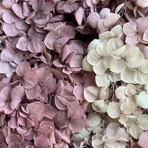 Preserved Hydrangea | Dried & Everlasting | flower arrangement | Resin Decor | Handcraft | Wedding | Birthday | Cake topping | Purple Mix
