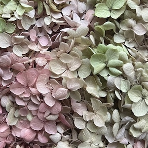 Preserved Hydrangea | Dried & Everlasting | flower arrangement | Resin Decor | Handcraft | Wedding | Birthday | Cake topping | Fairytale
