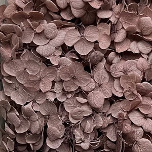 Hydrangea Flower | Dried & Preserved | Flower arrangement | Handcraft | Wedding | Birthday | Cake toppings | Flower arrangement | Coffee