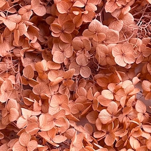 Preserved Hydrangea | Dried & Everlasting | flower arrangement | Resin Decor | Handcraft | Wedding | Birthday | Cake topping | Milk Tea