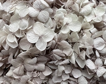 Preserved Hydrangea | Dried & Everlasting | flower arrangement | Resin Decor | Handcraft | Wedding | Birthday | Cake toppings | Cloudy Grey