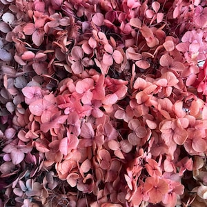 Hydrangea preserved Flower | Dried & Everlasting flower | Bouquet | Wedding | Birthday | Cake toppings | Decoration | Resin | Burgundy Mix