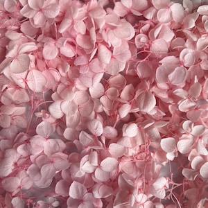 Preserved Hydrangea Flower | Dried & Everlasting | flower arrangement | Handcraft | Wedding | Birthday | Cake toppings | Decor | Pink