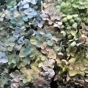 Preserved Hydrangea Dried & Everlasting | flower arrangement | Resin Decor | Handcraft | Wedding | Birthday | Cake topping | Blue Green Mix