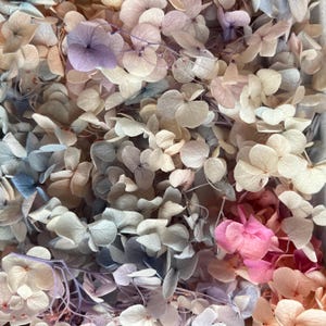 Preserved Hydrangea | Dried & Everlasting | flower arrangement | Resin Decor | Handcraft | Wedding | Birthday | Cake topping | Wonderland