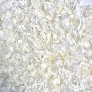 Hydrangea preserved Flower | Dried & Everlasting flower | Bouquet | Wedding | Birthday | Cake toppings | Flower decoration | Resin | White