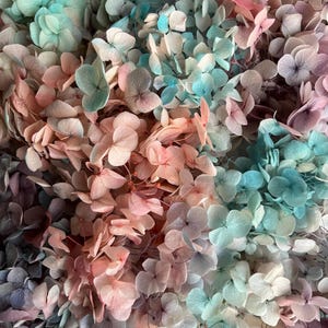 Preserved Hydrangea | Dried & Everlasting | flower arrangement | Resin Decor | Handcraft | Wedding | Birthday | Cake topping | Pastel Colour