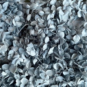 Preserved Hydrangea | Dried & Everlasting | flower arrangement | Resin Decor | Handcraft | Wedding | Birthday | Cake toppings | Grey