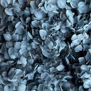 Preserved Hydrangea | Dried & Everlasting | flower arrangement | Resin Decor | Handcraft | Wedding | Birthday | Cake toppings | Blue Grey