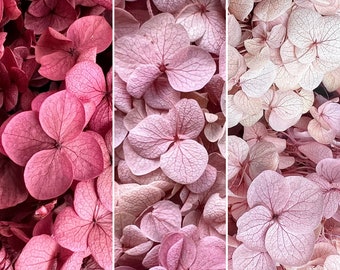 30 Colours Preserved Hydrangea Flower | Dried & Everlasting | flower arrangement | Handcraft | Wedding | Birthday | Cake toppings | Resin