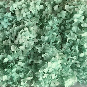 Preserved Hydrangea | Dried & Everlasting | flower arrangement | Resin Decor | Handcraft | Wedding | Birthday | Cake topping | Eggshell Blue