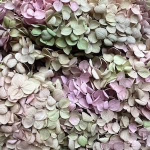 Preserved Hydrangea | Dried & Everlasting | flower arrangement | Resin Decor | Handcraft | Wedding | Birthday | Cake topping | Tinkerbell