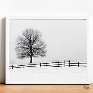May include: A black and white photograph of a lone tree in a snowy field with a wooden fence in the foreground.