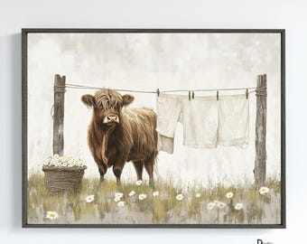 Peut inclure: Une vache Highland brune se tient dans un champ de marguerites blanches avec une corde à linge derrière elle. Des draps blancs sont suspendus à la corde.