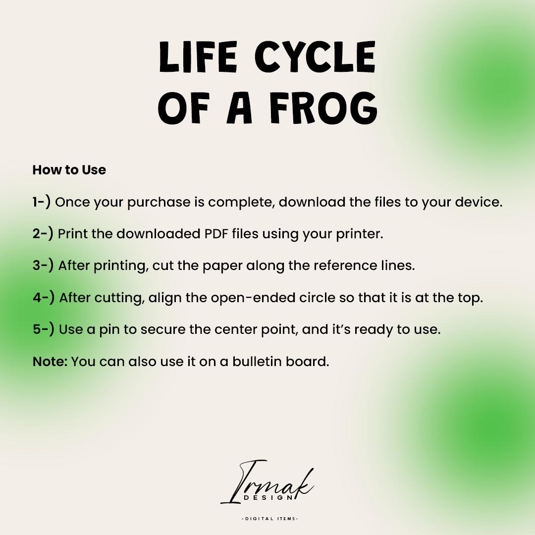 LIFE CYCLE of a FROG Wheel Printable | Home Print | Preschool Activity ...