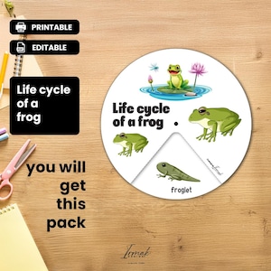LIFE CYCLE of a FROG Wheel Printable | Home Print | Preschool Activity | Printable Pdf