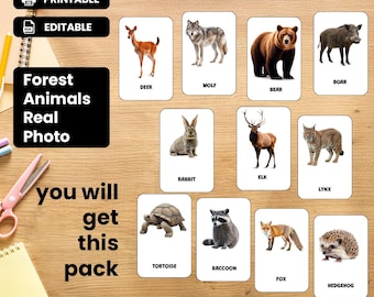 ANIMALES DEL BOSQUE (imágenes reales) • 27 Tarjetas Montessori Editables • Tarjetas de Nomenclatura FlashCards Tarjetas Editables PDF Imprimibles preescolar