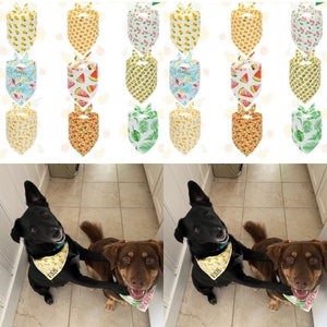 Personalized dog bandanas!