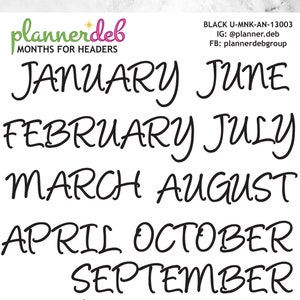 MONTH Names Planner Stickers for Erin Condren Planner, Daily Duo, Happy Planner, Plum Planner, A5 Planner, BuJo, U-MNK-13003, 4 Typefaces