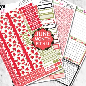 June/Watermelon Kit 413 Monthly Planner Stickers are perfect for Erin Condren Planner, Daily Duo, Happy Planner, Plum Planner