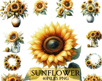 Watercolor Sunflower Collection Clipart, 40 PNG Sunflowers Clip art, Spring Flowers Clipart, Floral Bouquet, Sunflower PNG, Commercial Use