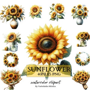 Watercolor Sunflower Collection Clipart, 40 PNG Sunflowers Clip art, Spring Flowers Clipart, Floral Bouquet, Sunflower PNG, Commercial Use