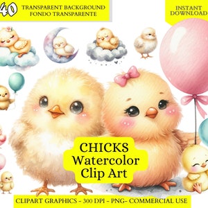 Imágenes Prediseñadas de pollito lindo, png de pollito, gráficos lindos de baby shower de pollo, imágenes prediseñadas de acuarela de pollito, clip art de pollitos, descarga digital de uso comercial