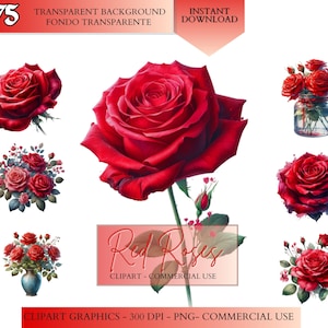 Red Roses Clipart transparent png - Mega Bundle 75 designs - Instant Digital Download Watercolor Red Rose Boutique Clip art Red Flower png
