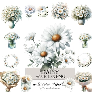 Clipart di margherite, 65 file PNG, clipart di fiori, clipart di fiori di margherite, fiori selvatici, fiori estivi botanici, bouquet di nozze in formato PNG con margherite, acquerello