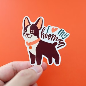Boston Terrier sticker / Dog Sticker / Pet Sticker / Puppy lover sticker / I love hooman Sticker