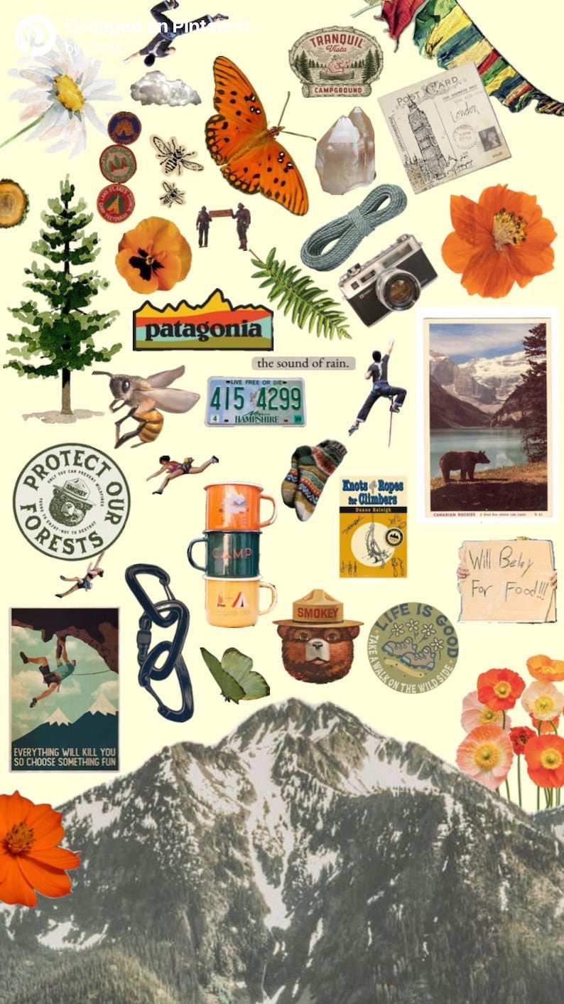 Camping Sticker Pack- Mystery Wilderness Nature Sticker Pack, Junk Journaling Stickers, Scrapbooking Planner Stickers, Nature Lover Gift image 4
