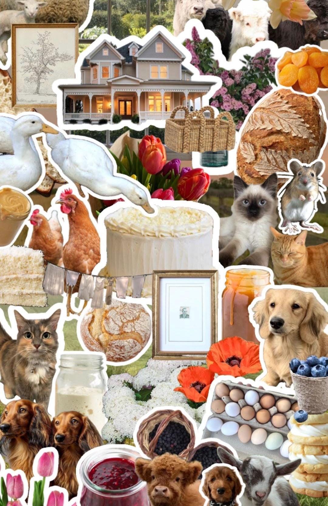 Homestead Country Sticker Pack- Mystery Farmhouse Aesthetic Stickers ...