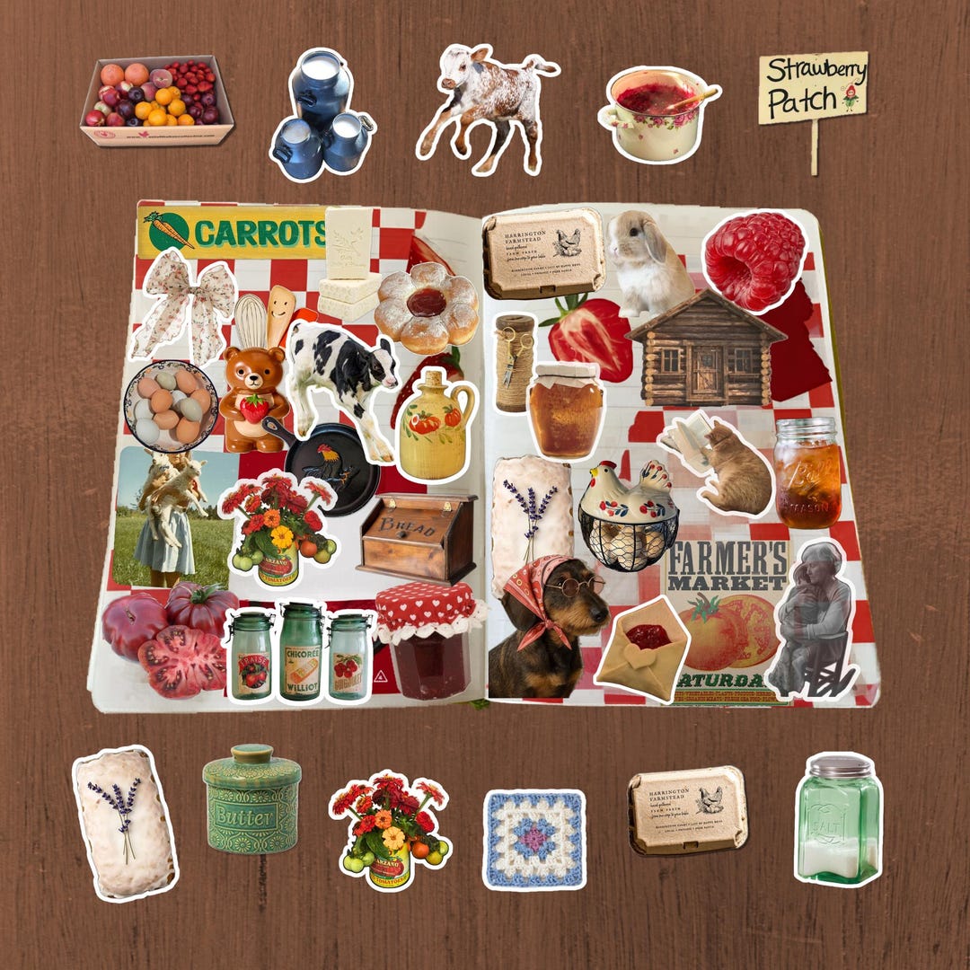Homestead Country Sticker Pack- Mystery Farmhouse Aesthetic Stickers ...