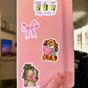 Pu&ograve; includere: Un quaderno rosa con vari adesivi. Gli adesivi includono un fiocco rosa, un cane che tiene un cuore che dice "Letteralmente solo una ragazza", e tre barattoli di sottaceti con il testo "Dill with it".